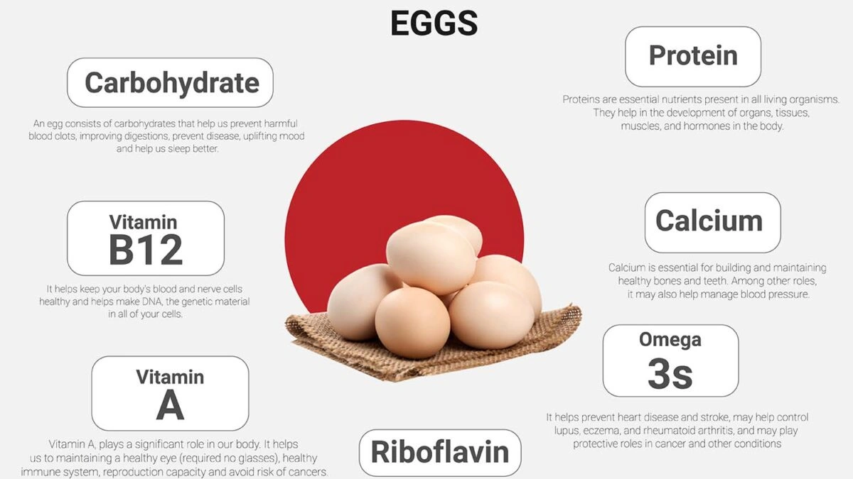 Do Eggs Have Iron and B12? The Real Deal for Everyday Energy