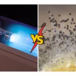 Does UV Light Kill Fungus on Skin? Key Facts