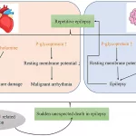 Epilepsy and Hypokalemia Risk: Hidden Dangers