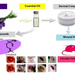 Essential Oils for Wound Healing After Surgery