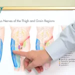 Gun Belt Syndrome: Hidden Pain for Officers