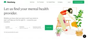 Headway | Provider Portal: Real-Life Review for Therapists