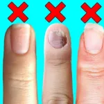 Healthy Nails vs Unhealthy: How Your Fingertips Tell the Real Story Healthy Nails vs Unhealthy: How Your Fingertips Tell the Real Story