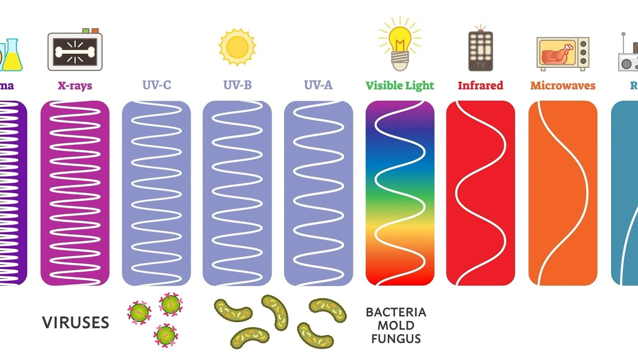 How Fast Does UV Light Kill Fungus? Real Results for Real People