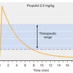 How Long Does Anesthesia Stay in Your System?