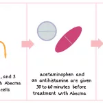 How Long Does It Take for Abecma to Work?