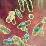 How Long Is C Diff Contagious After Treatment? The Surprising Truth Nobody Tells You How Long Is C Diff Contagious After Treatment? The Surprising Truth Nobody Tells You