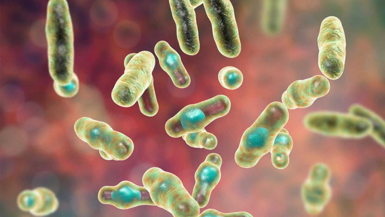 How Long Is C Diff Contagious After Treatment? The Surprising Truth Nobody Tells You