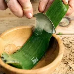 Aloe Juice: How Often for Hiatus & Diverticulitis