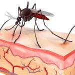 How to Bite a Mosquito Back AI Guide