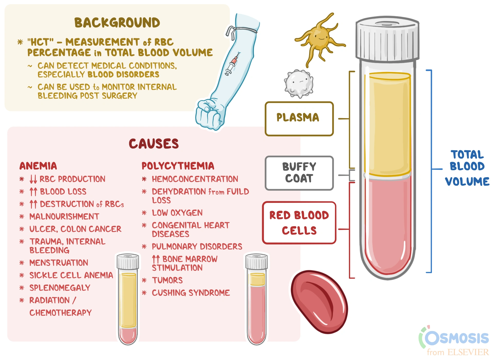 How to Lower Hematocrit Overnight: Simple, Real-World Strategies