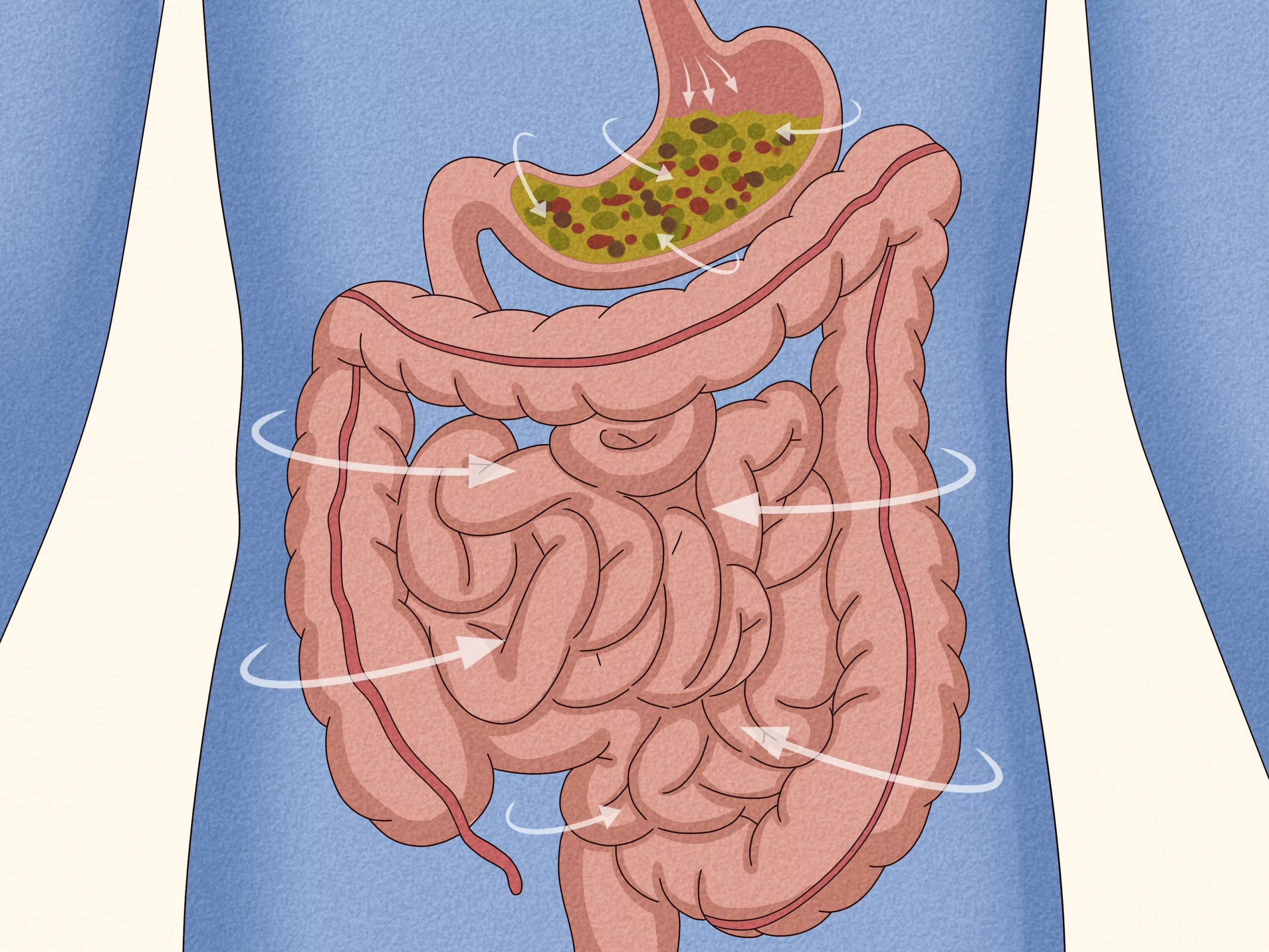 How to Stop Your Stomach from Growling Loudly in Class