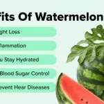 Is Watermelon Good for Diabetics? Key Facts
