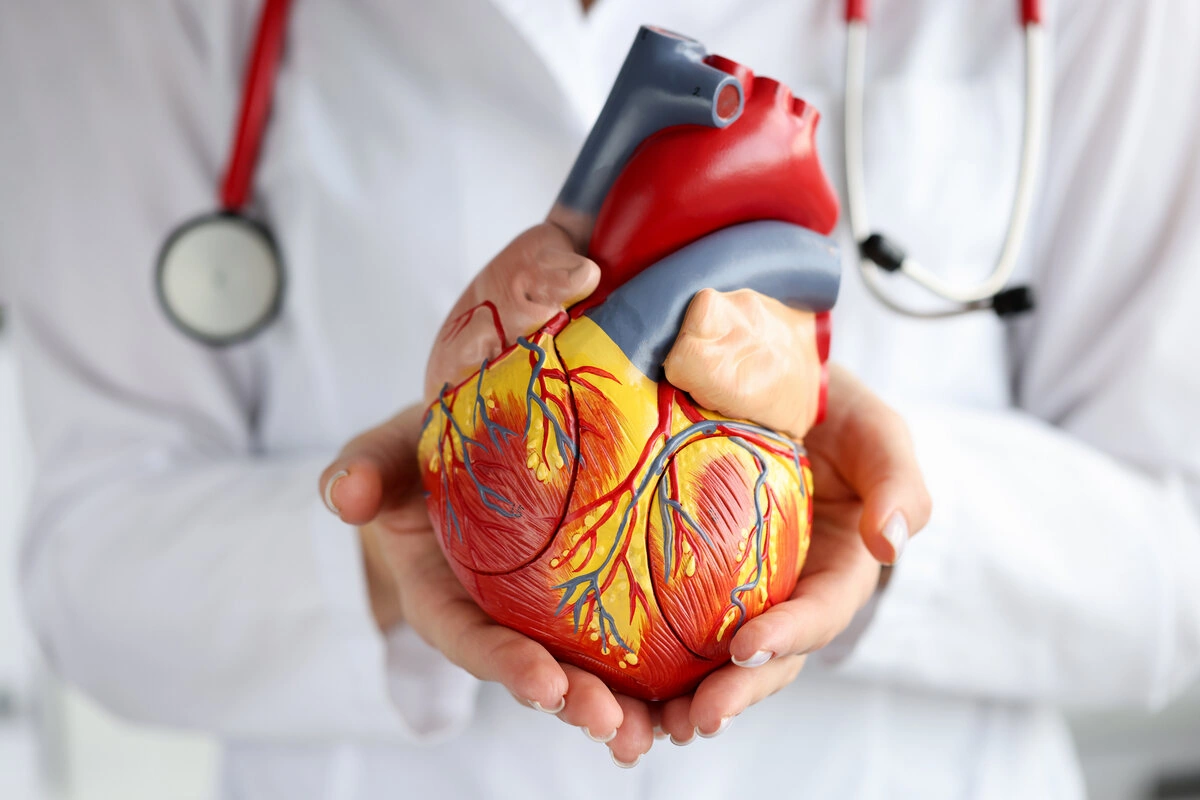 Life Expectancy After Cardiac Ablation: What Really Changes?