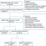 Life Expectancy After Right Hemicolectomy