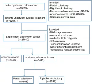 Life Expectancy After Right Hemicolectomy: What You’re Really Wondering Life Expectancy After Right Hemicolectomy: What You’re Really Wondering
