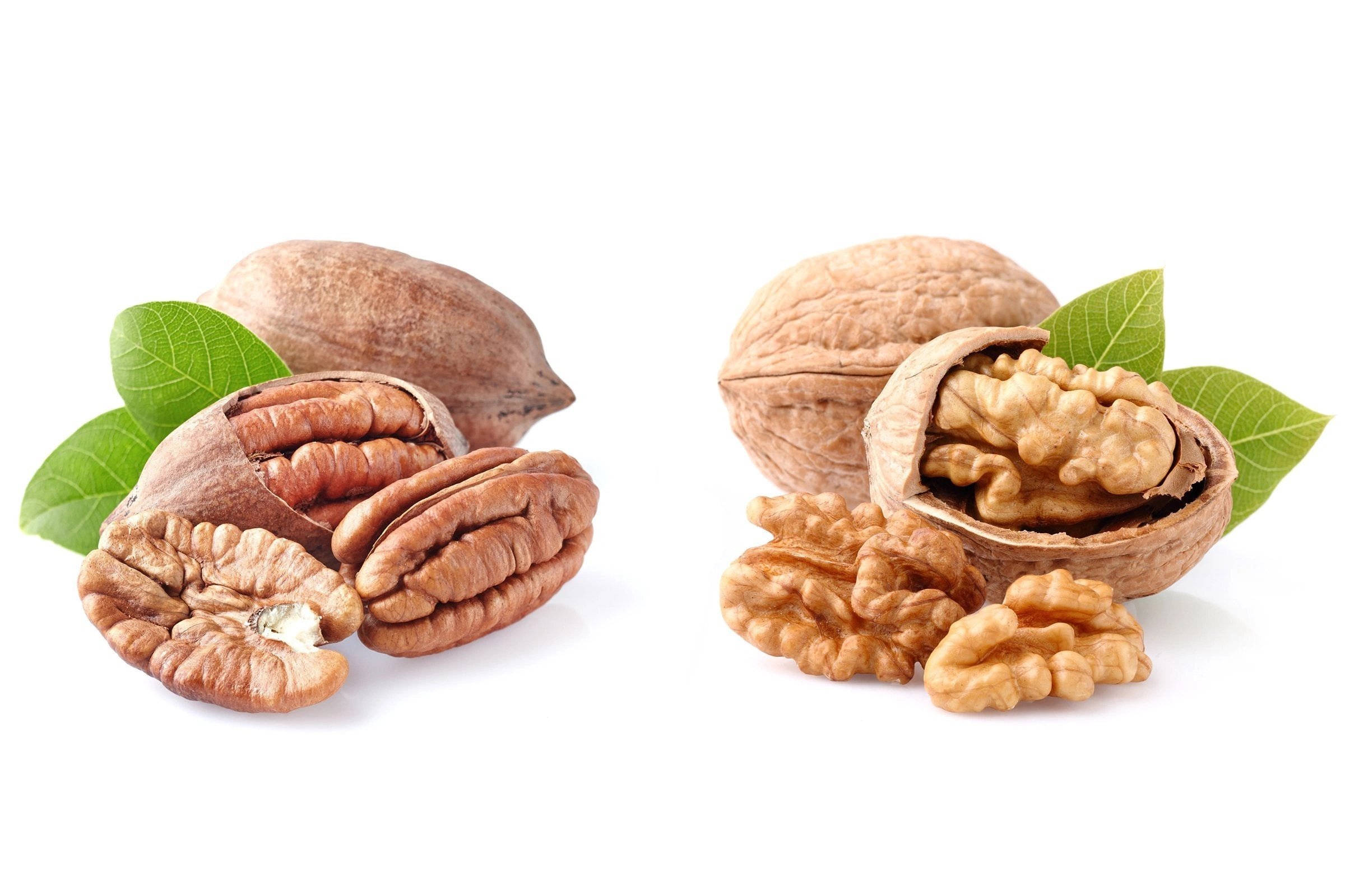 Pecans vs Walnuts Which Is Better: Real Talk for Snack Lovers