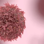 Uplifting Positive HER2 Breast Cancer Stories