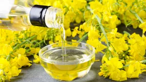 Rapeseed Oil vs Canola Oil: The Real Scoop for Your Kitchen Rapeseed Oil vs Canola Oil: The Real Scoop for Your Kitchen