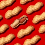 Adult Peanut Allergy: What You Need to Know Today
