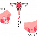 Slight Spot of Blood on Inside Front of Underpants