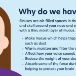 Smell of Blood After Sinus Infection Causes