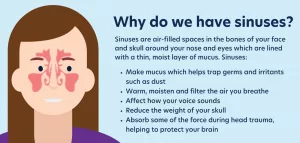 Why Do I Smell Blood After a Sinus Infection? Why Do I Smell Blood After a Sinus Infection?