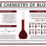 What Does Blood Smell Like? The Real Scoop