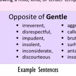 What Is the Opposite of Gentle? Why “Harsh” Isn’t Always a Villain in Wellness What Is the Opposite of Gentle? Why “Harsh” Isn’t Always a Villain in Wellness