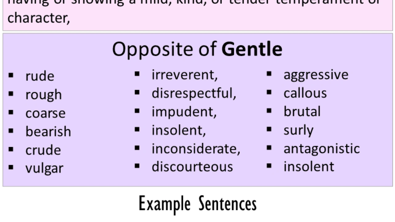 What Is the Opposite of Gentle? Why “Harsh” Isn’t Always a Villain in Wellness