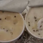 Why Halo Top Ice Cream Is Bad: The Scoop No One’s Dishing Out Why Halo Top Ice Cream Is Bad: The Scoop No One’s Dishing Out