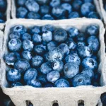 7 Proven Health Benefits of Blueberries 7 Proven Health Benefits of Blueberries