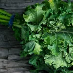 Health Benefits of Kale