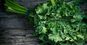Health Benefits of Kale