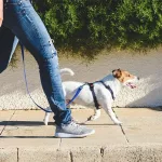 16 ways relieve stress anxiety — Simple Tips