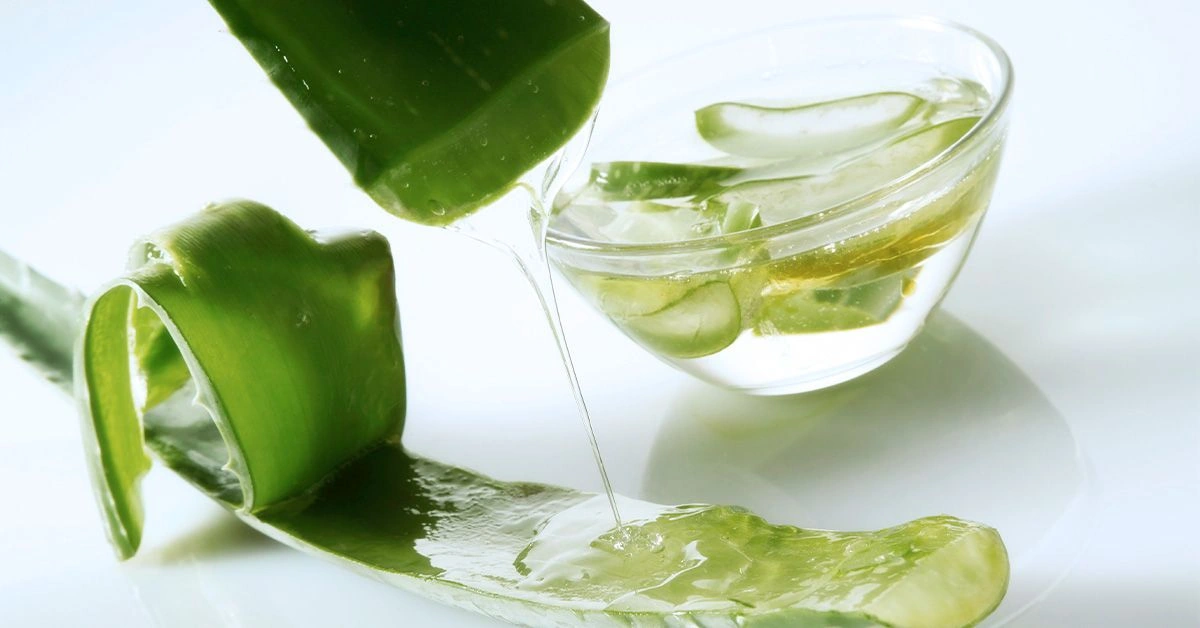 The Benefits of an Aloe Vera Hair Mask and How to Make One