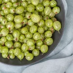 6 Promising Health Benefits of Amla Juice