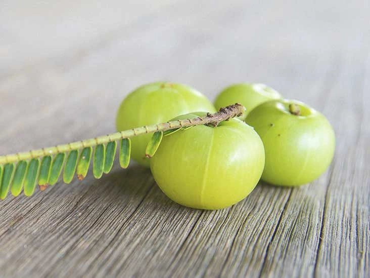 Can Amla Oil Make Your Hair Grow Faster?