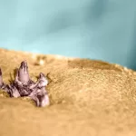 How to Recognize and Treat Anal Skin Tags