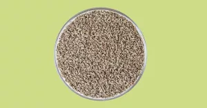 7 Health Benefits and Uses of Anise Seed