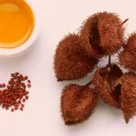 What Is Annatto? Uses, Benefits, and Side Effects
