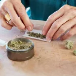 Antibiotics And Weed: Safety While on Antibiotics