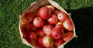 10 Promising Benefits and Uses of Apple Pectin