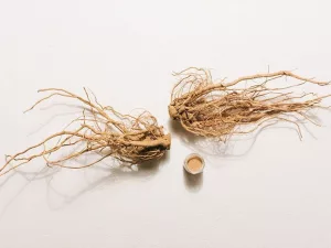 Health Benefits of Ashwagandha, Based on Research