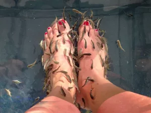Are Fish Pedicures Safe and Are There Benefits?