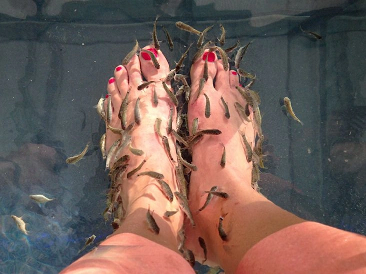 Are Fish Pedicures Safe and Are There Benefits?