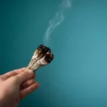 10 Benefits of Burning Sage, How to Get Started, and More 10 Benefits of Burning Sage, How to Get Started, and More