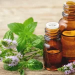 Peppermint Oil Uses and Benefits Peppermint Oil Uses and Benefits