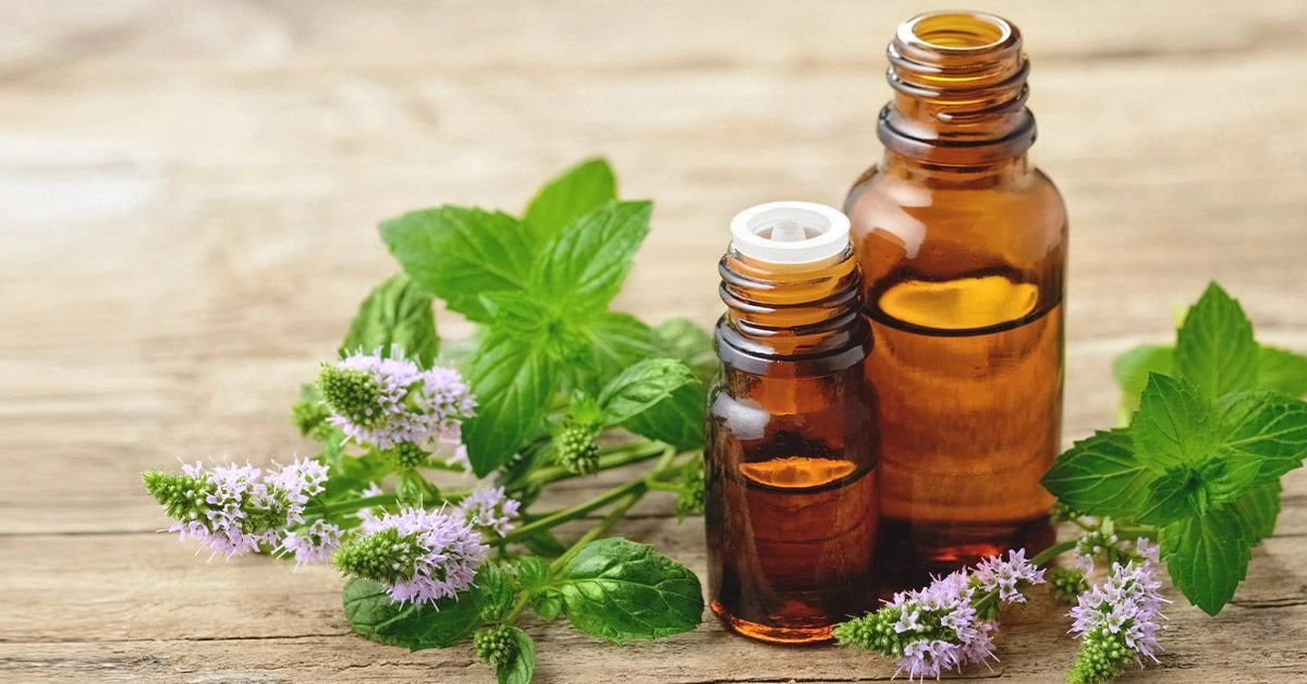 Peppermint Oil Uses and Benefits