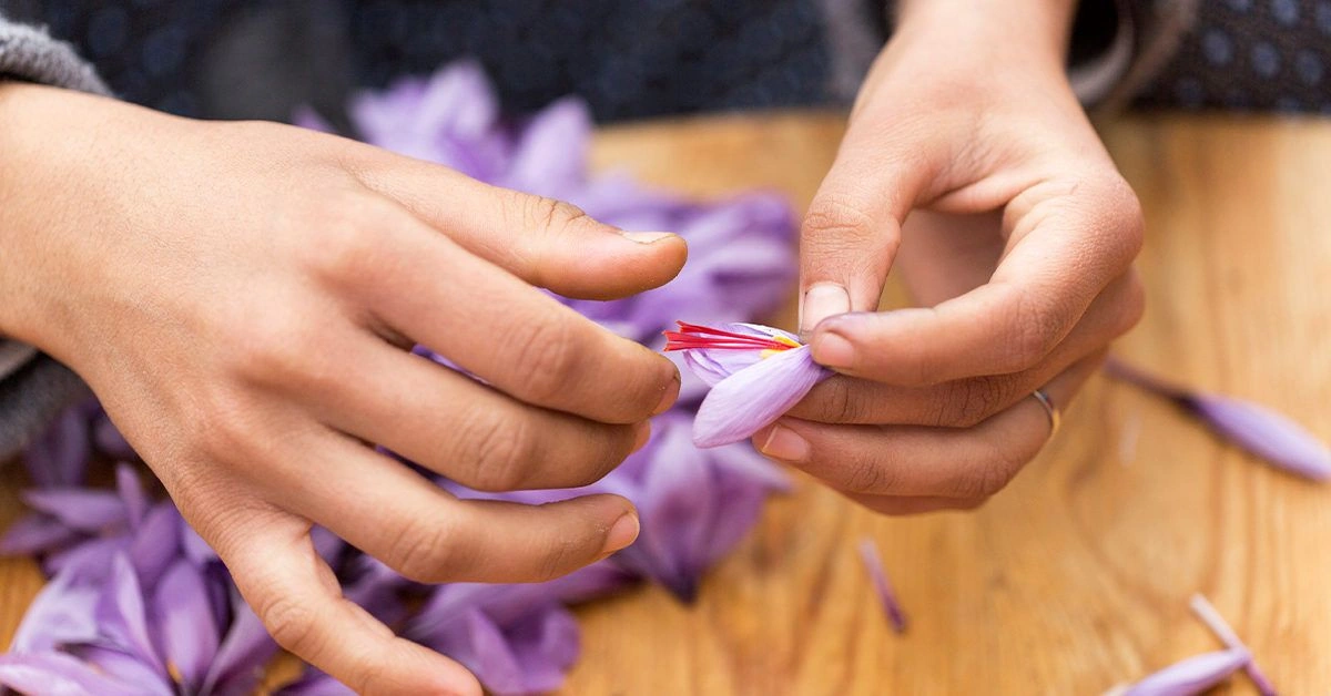 Are There Any Medically Proven Benefits of Saffron for Skin Health?